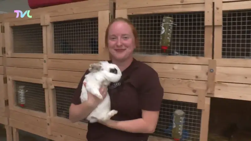 Zorgboerderijen in de lift, vooral in Limburg