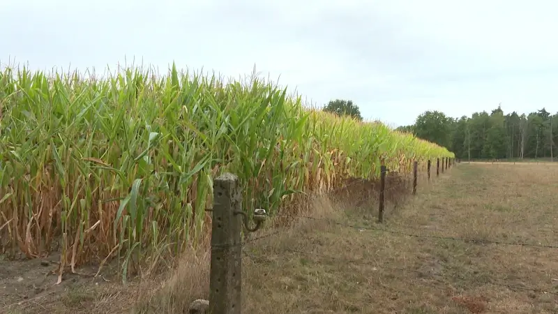 Herbekijk het TVL Nieuws van 27 augustus 2025
