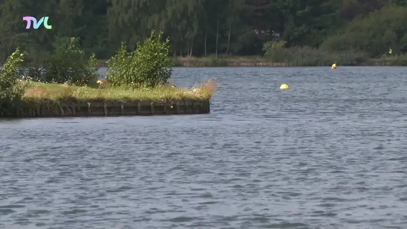Stad Beringen gaat openwaterzwemzone Paalse Plas uitbreiden