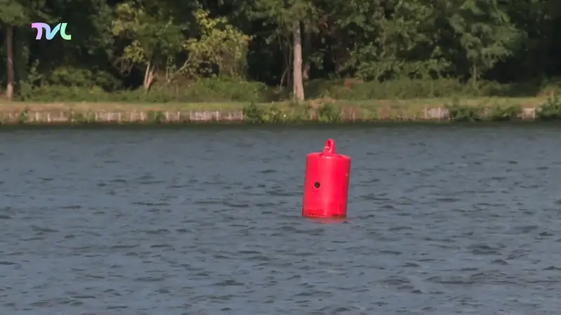 Stad Beringen gaat openwaterzwemzone Paalse Plas uitbreiden