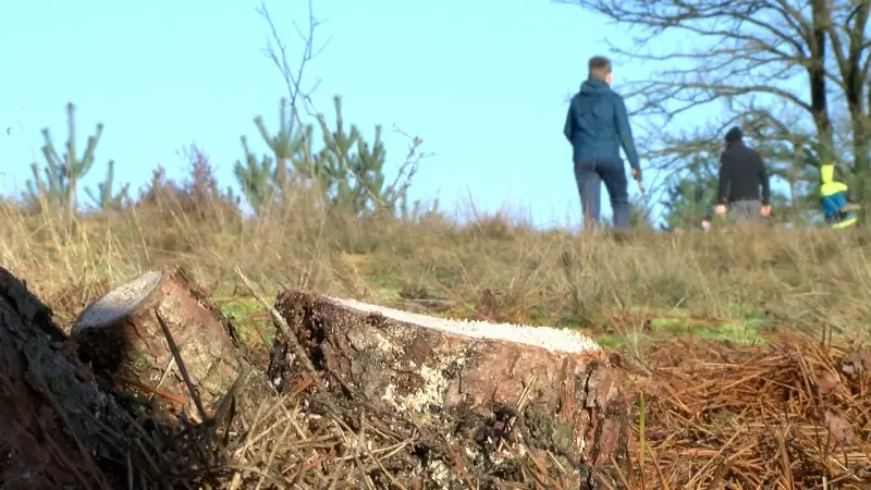 Oudsbergen neemt bosbeheer in eigen handen