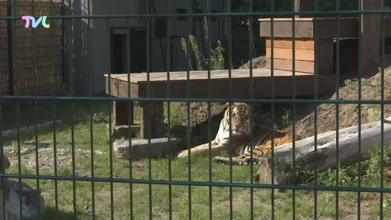 Natuurhulpcentrum beleeft drukste opendeurdag ooit met meer dan 5000 bezoekers