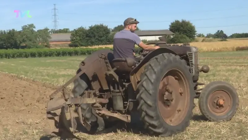 Maaslandse Tractor Vrienden showen oldtimers