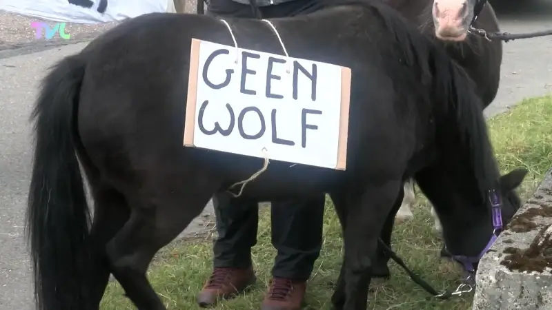 Honderdtal mensen protesteren tegen de wolf aan Natuurhulpcentrum in Oudsbergen
