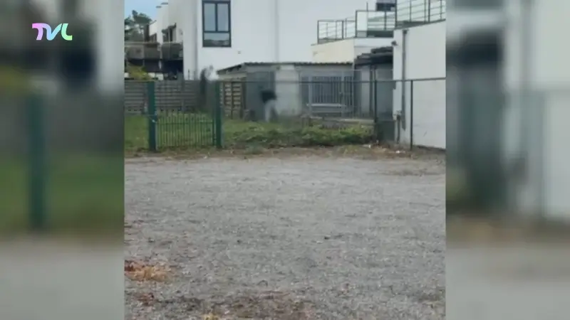 Twee jongeren opgepakt voor brandstichting in Genk