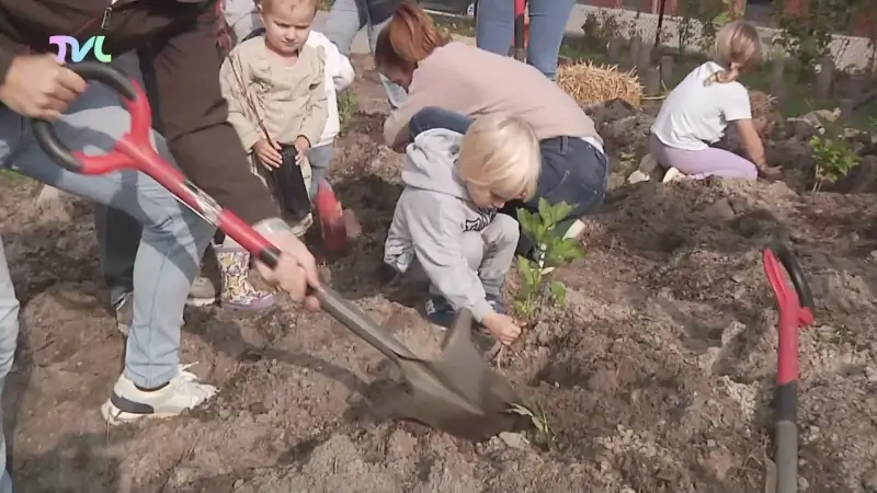 Hasseltse basisschool De Krullevaar krijgt biodivers schoolbos op speelplaats