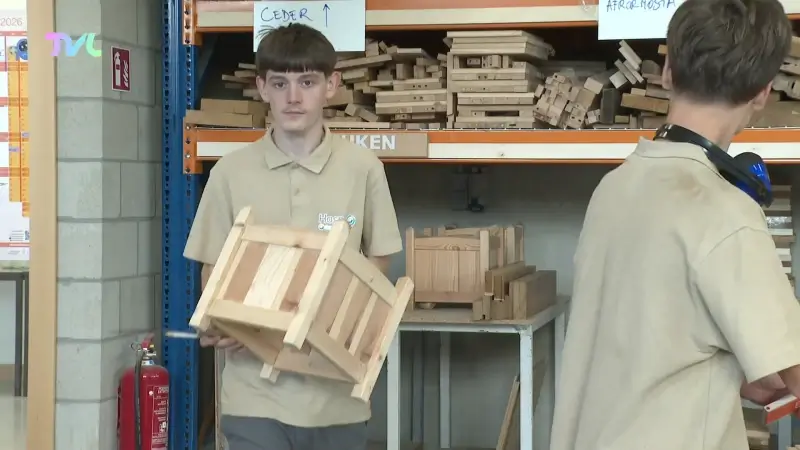 Houtsector blaast Wood Award nieuw leven in om jongeren weer warm te maken voor houtonderwijs