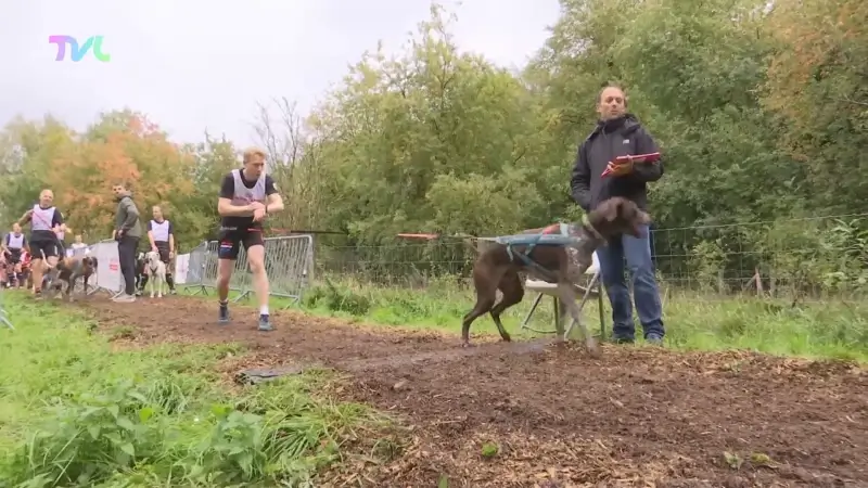 Hoofdafbeelding voor artikel Meer dan 400 deelnemers op…