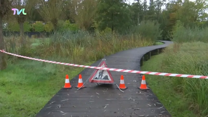 Hoofdafbeelding voor artikel Genks Molenvijverpark krijgt…