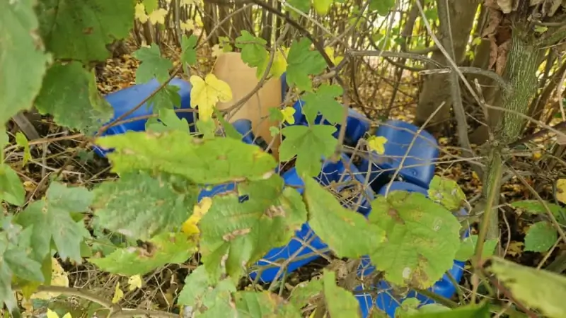 Hoofdafbeelding voor artikel Zes vaten met drugsafval gedumpt…