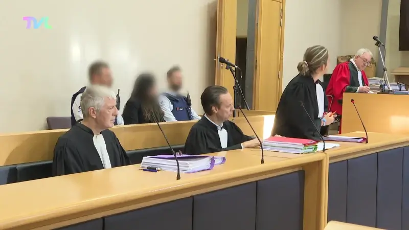 Hoofdafbeelding voor artikel Assisen babymoord: "Ik verzweeg…