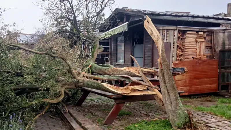 Hoofdafbeelding voor artikel Storm Benjamin: Wat doe je…