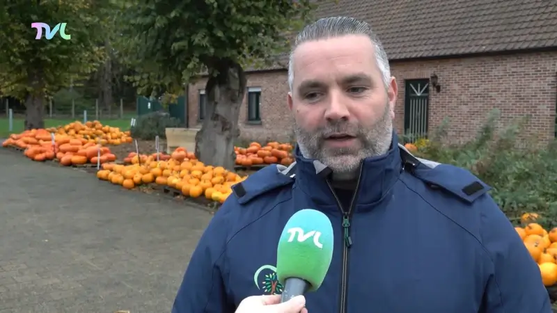Hoofdafbeelding voor artikel Pompoenen vliegen de deur…