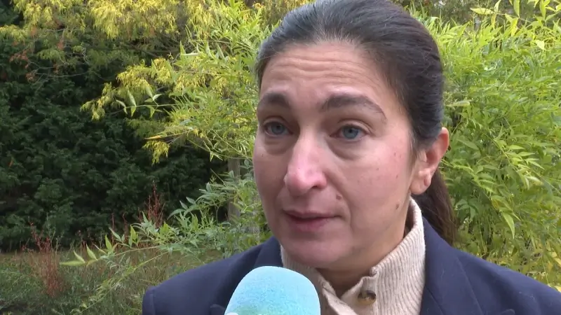 Hoofdafbeelding voor artikel Zuhal Demir: "Economisch toekomst…