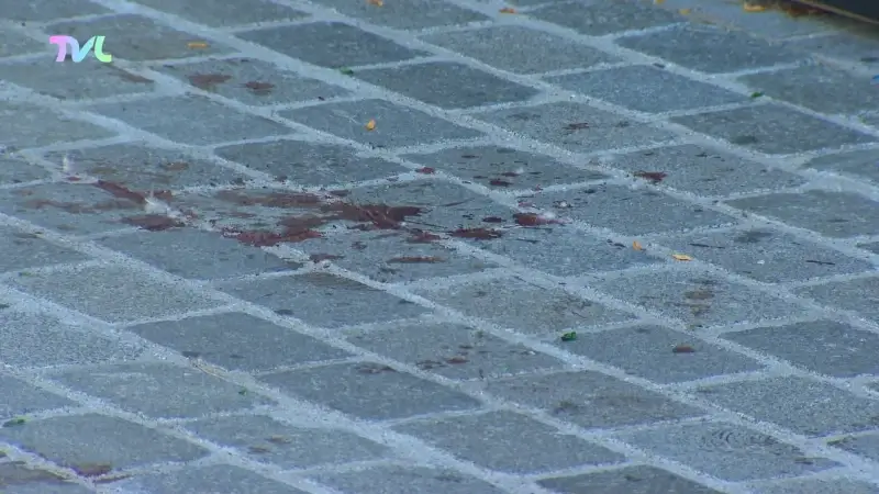 Hoofdafbeelding voor artikel Geen plaats in instelling:…