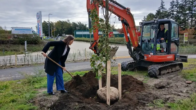 Hoofdafbeelding voor artikel 10.000 bloembollen geven de…