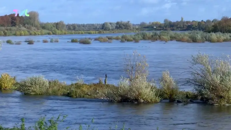 Hoofdafbeelding voor artikel Horeca blikt tevreden terug…