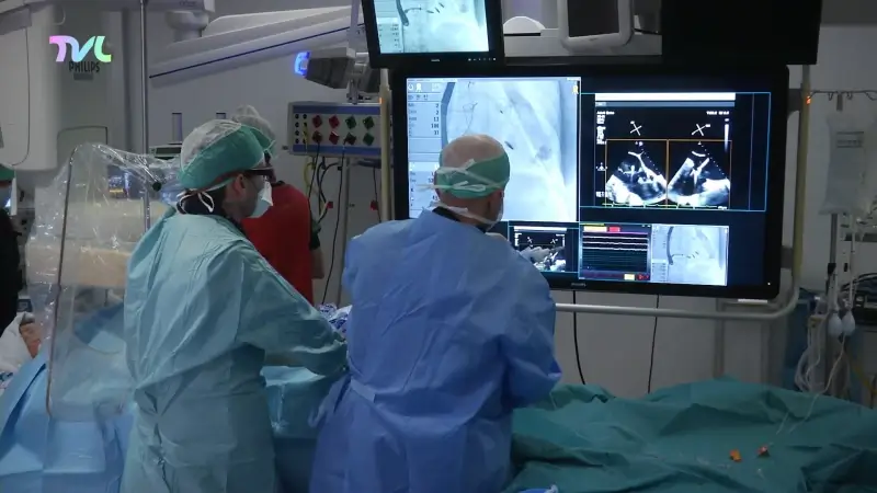 Hoofdafbeelding voor artikel Eén dienst harchirurgie voor…