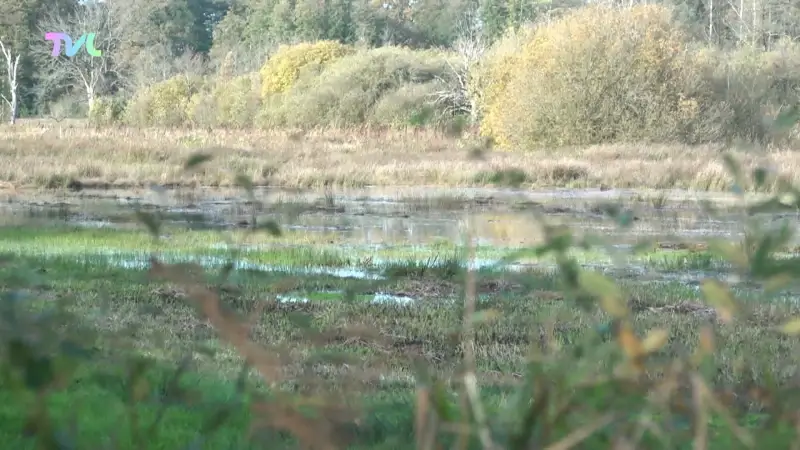 Hoofdafbeelding voor artikel De Watersnip in Koersel zet…