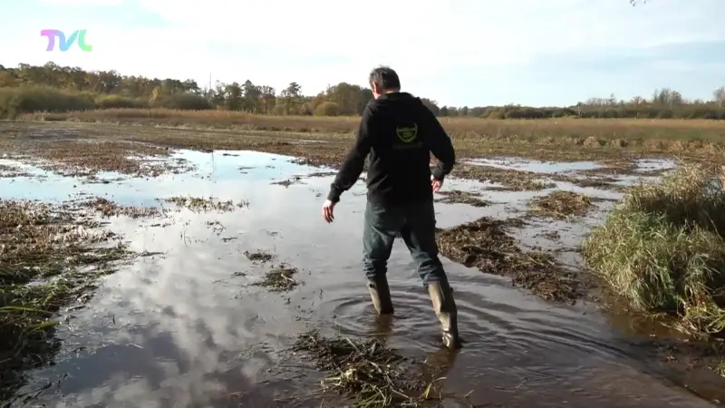 Hoofdafbeelding voor artikel De Watersnip in Koersel zet…