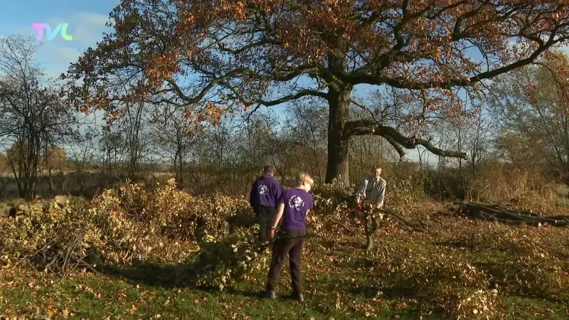 Hoofdafbeelding voor artikel Herkse jeugdverenigingen helpen…