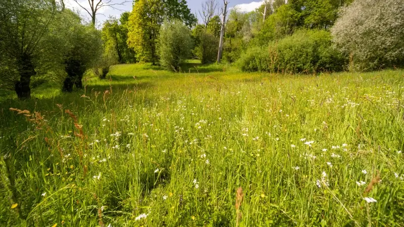 Hoofdafbeelding voor artikel Extra tijd voor klimaatrobuuste…