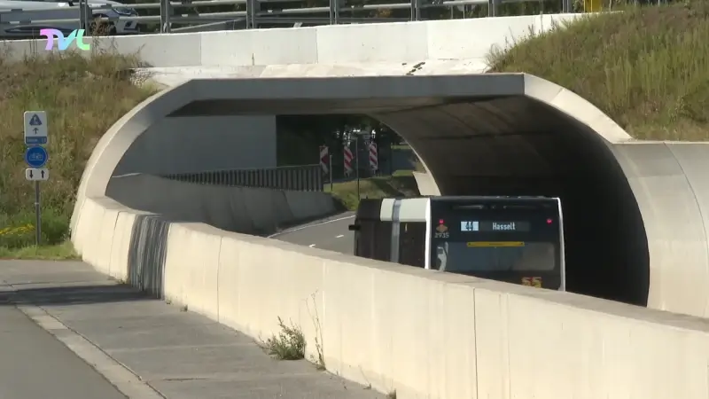 Hoofdafbeelding voor artikel Vlaanderen moet schadevergoeding…