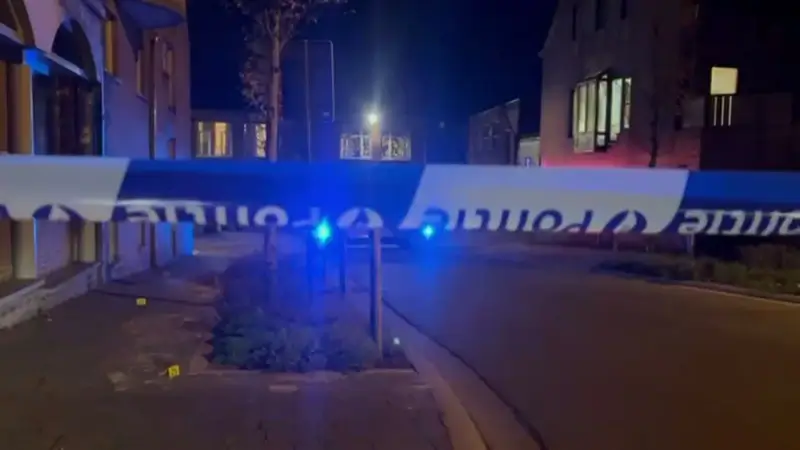 Hoofdafbeelding voor artikel Dader steekpartij in Beringen…