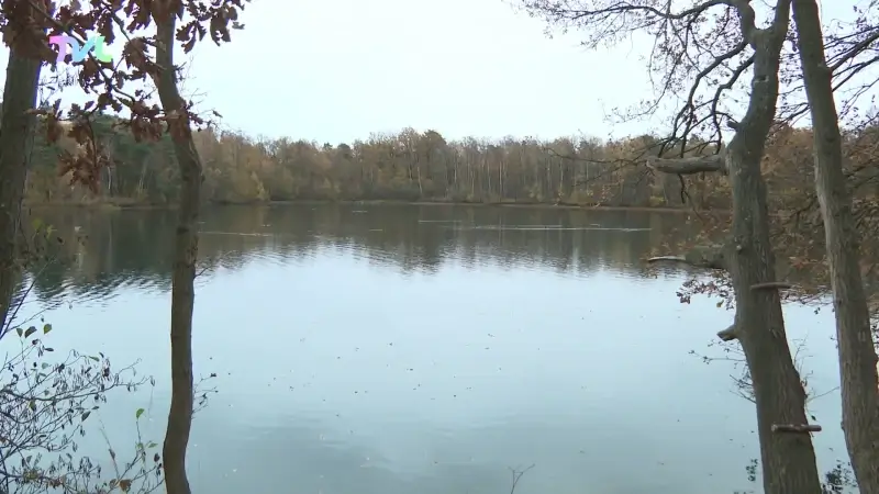 Hoofdafbeelding voor artikel Ooit omstreden Groene Delle…