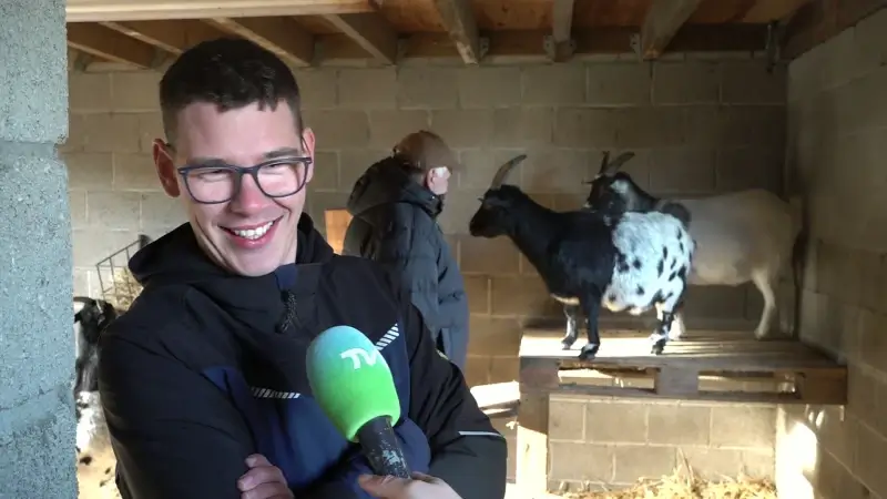 Dag van het Therapiedier: zorggebruikers in Pelt werken dagelijks met dieren