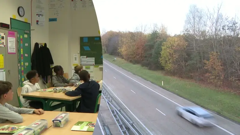 Hoofdafbeelding voor artikel TVL Nieuws, 17 november 2025