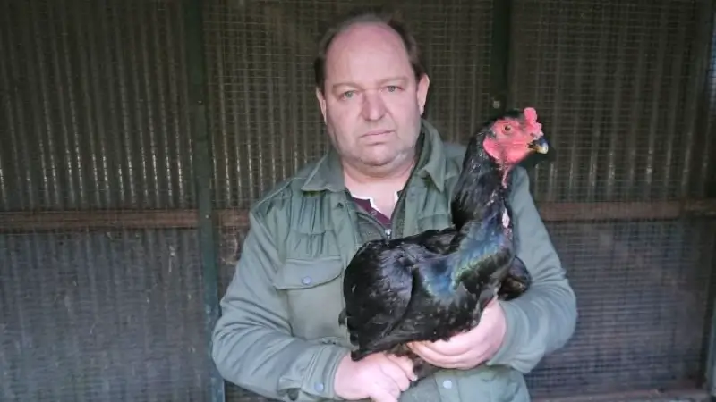 Hoofdafbeelding voor artikel Politie Heusden-Zolder neemt…