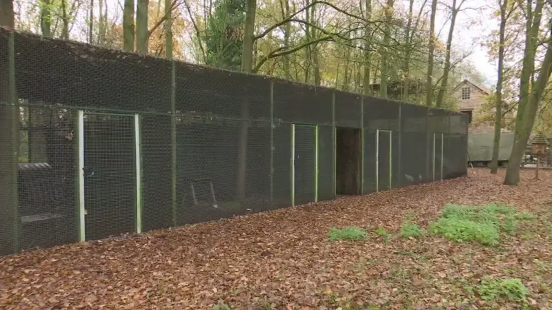 Hoofdafbeelding voor artikel 29 vechthanen in beslag genomen…