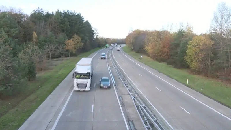 Dodelijke nacht voor wolven op Noord-Zuid