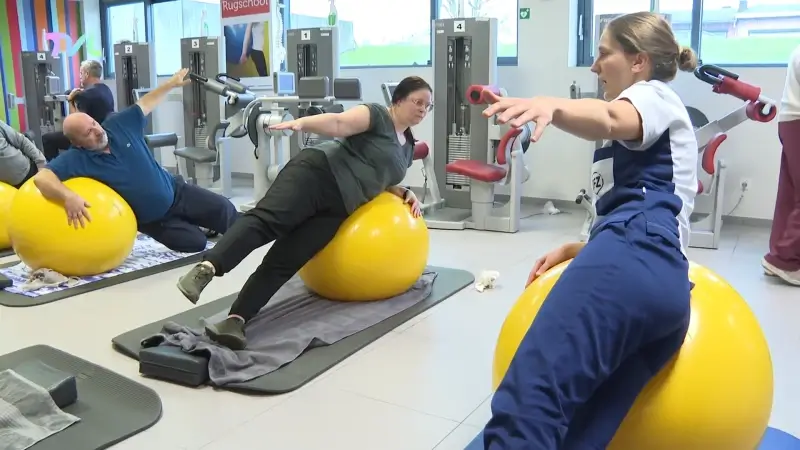 Hoofdafbeelding voor artikel Niet enkel autobatterijen…