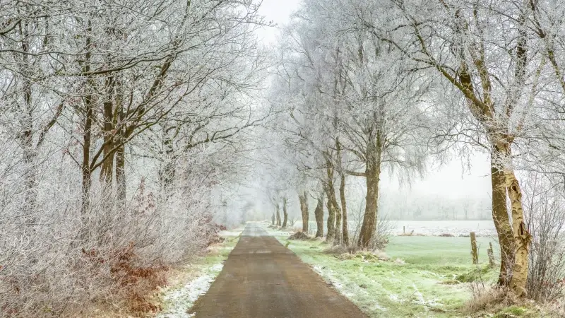 Hoofdafbeelding voor artikel Opgelet! Het wordt glad op…