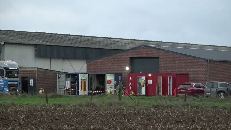 Hoofdafbeelding voor artikel Vogelgriep bereikt Limburg,…