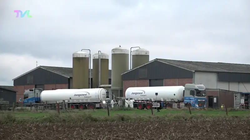 Hoofdafbeelding voor artikel Vogelgriep bereikt Limburg,…