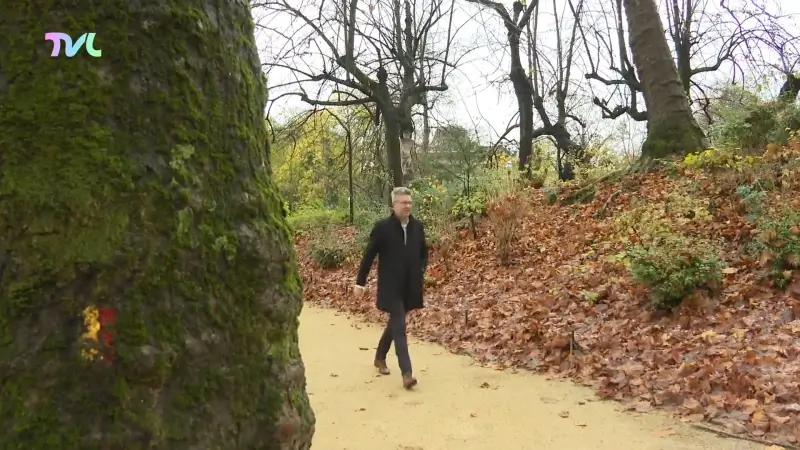 Hoofdafbeelding voor artikel Limburg is niet geïnteresseerd…