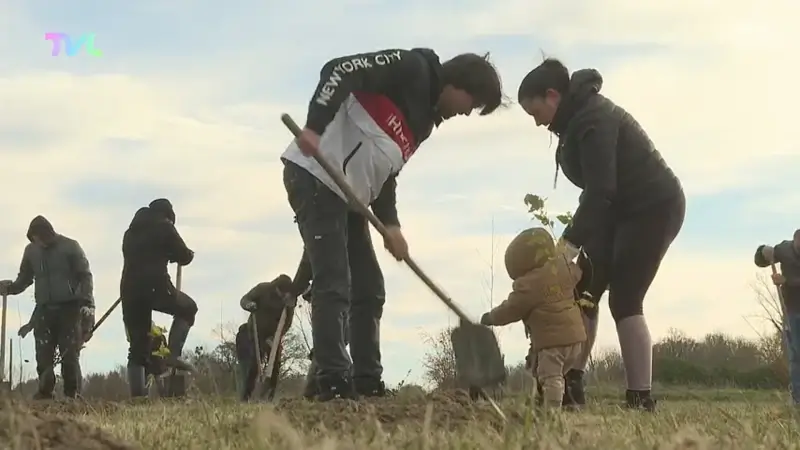 Hoofdafbeelding voor artikel Bollebos plant 2.000 bomen…