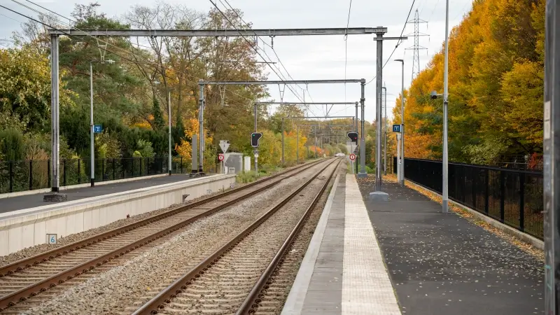 Hoofdafbeelding voor artikel LIVEBLOG: volg hier hoe de…