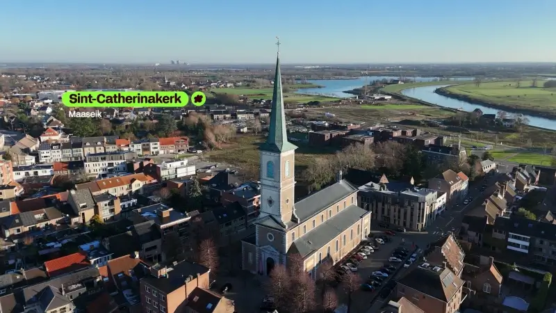 Hoofdafbeelding voor artikel Sint-Catharinakerk Maaseik