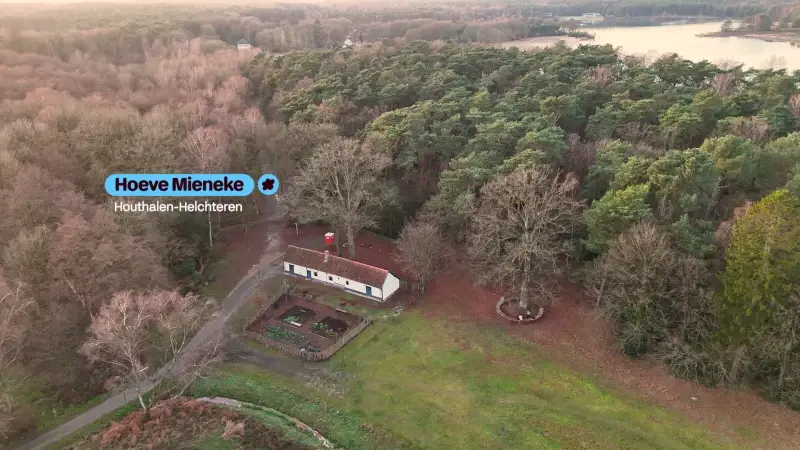 Hoofdafbeelding voor artikel Hoeve Mieneke Houthalen-Helchteren