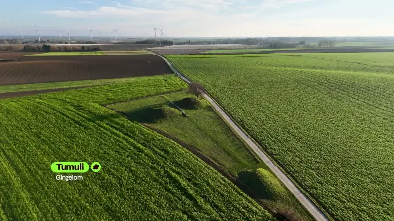 Hoofdafbeelding voor artikel Tumuli Gingelom