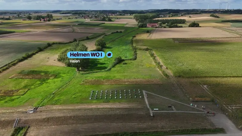 Hoofdafbeelding voor artikel Helmen WOI Halen