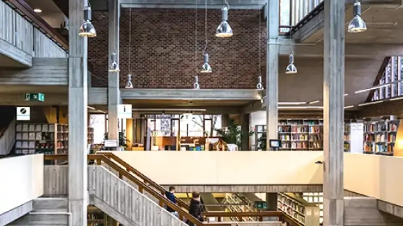 Hoofdafbeelding voor artikel Hasselaren kunnen volgend…