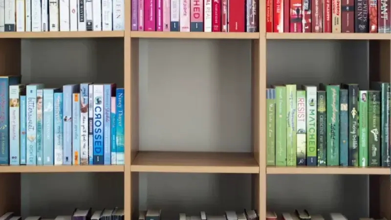 Hoofdafbeelding voor artikel Hasselaren kunnen volgend…