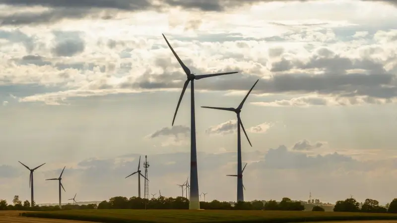 Hoofdafbeelding voor artikel Minister Brouns weigert 9…