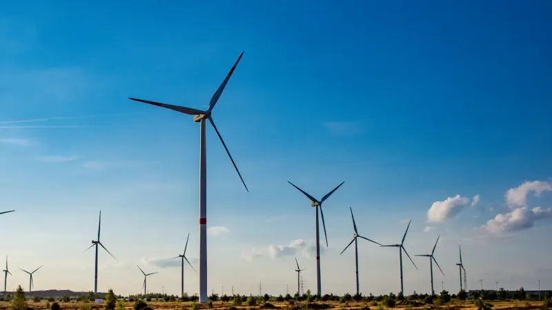 Tongeren-Borgloon gaat in beroep tegen windturbines