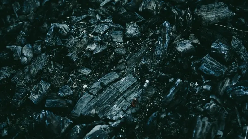 Hoofdafbeelding voor artikel productie biocoal stopt in…